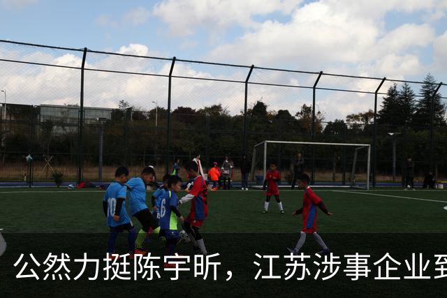公然力挺陈宇昕,江苏涉事企业到底图个啥