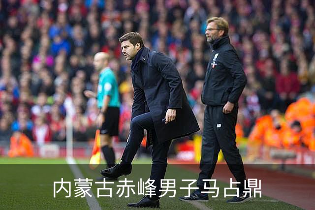 内蒙古赤峰男子马占鼎