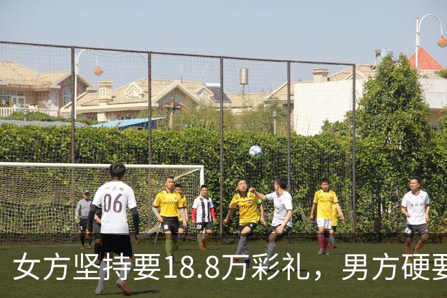 女方坚持要18.8万彩礼，男方硬要婚检，结果出来后全家炸锅！