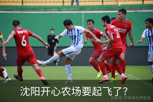 沈阳开心农场要起飞了?